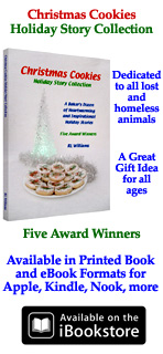 Holiday Short Story Collection Book
