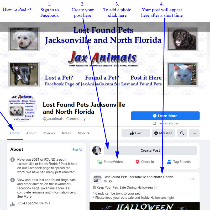 How to Post to Our Facebook Page