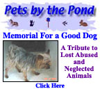 Memorial to a Good Dog