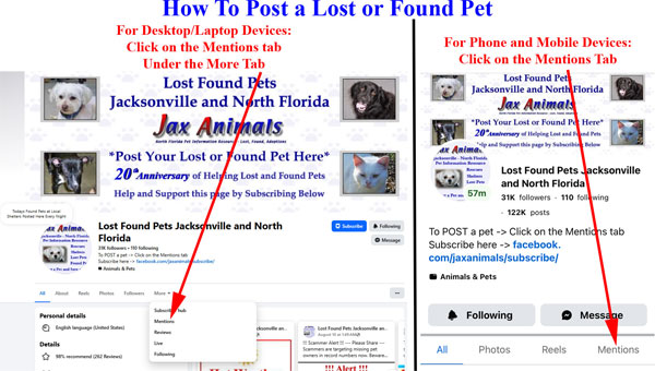 How to Post to Our Facebook Page